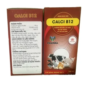 CALCI B12
